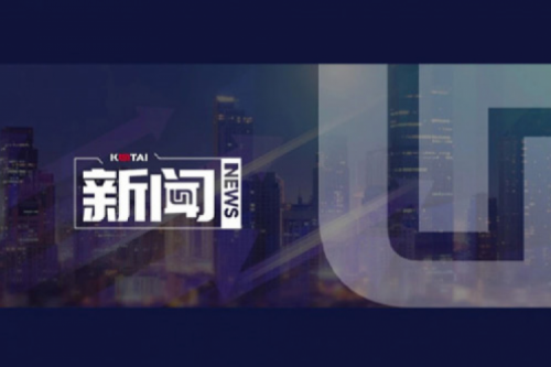 AI驱动新增长，扣非净利提升10%，星空游戏xingkong数码2025一季度稳健开局